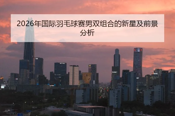 2026年国际羽毛球赛男双组合的新星及前景分析
