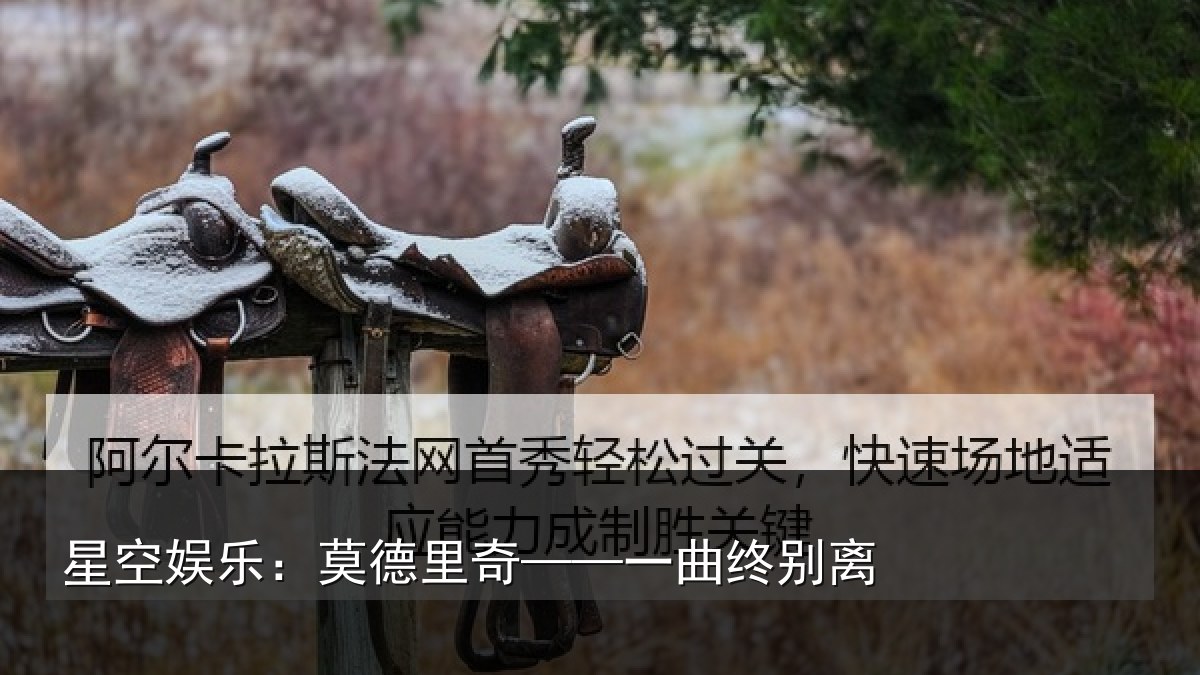 星空娱乐:莫德里奇——一曲终别离