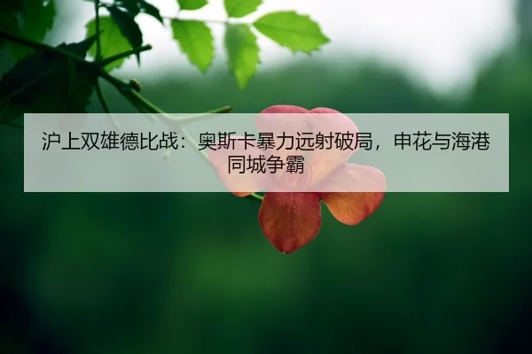 hu-shang-shuang-xiong-de-bi-zhan-ao-si-ka-bao-li-yuan-she-po-ju-shen-hua-yu-hai-gang-tong-cheng-zheng-ba-2-928.jpg