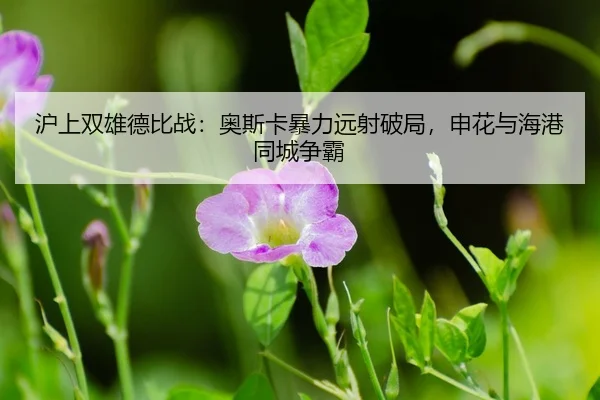 hu-shang-shuang-xiong-de-bi-zhan-ao-si-ka-bao-li-yuan-she-po-ju-shen-hua-yu-hai-gang-tong-cheng-zheng-ba-3-675.jpg