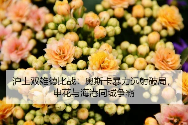 沪上双雄德比战：奥斯卡暴力远射破局，申花与海港同城争霸